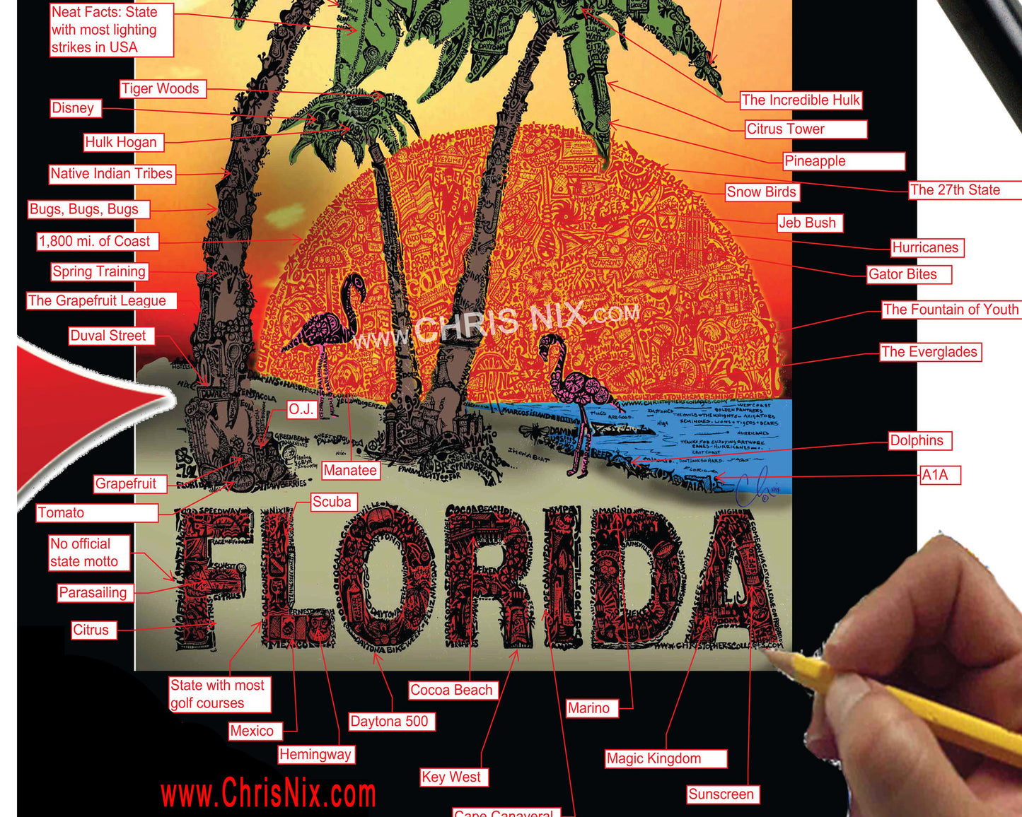 Everything Florida