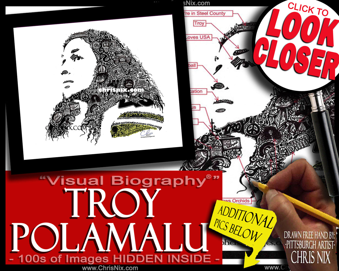 Troy Polamalu